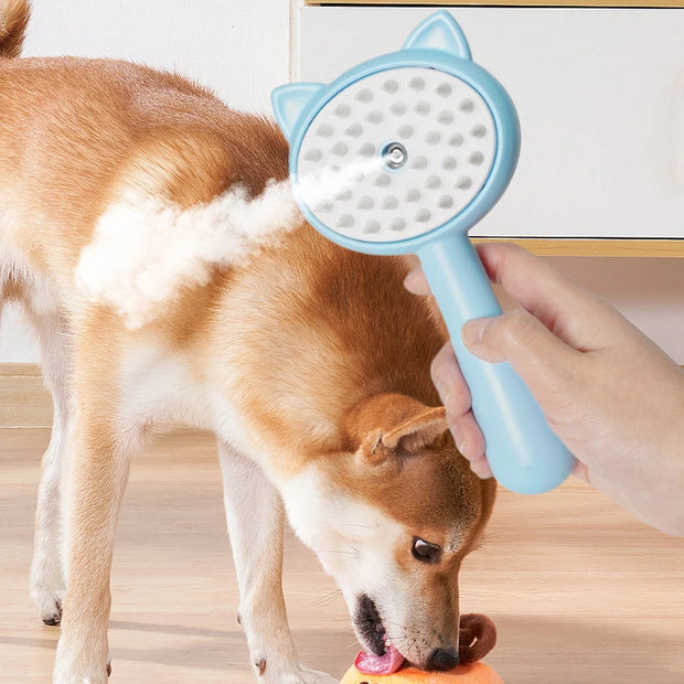 Hair Cleaning Brush With Mist Multifunctional Ca...



